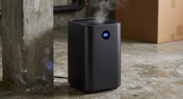 top small basement dehumidifiers