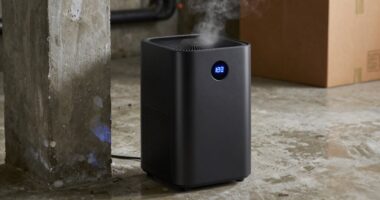 top small basement dehumidifiers