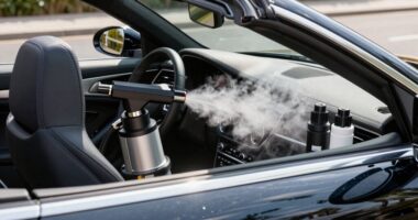 top steam cleaners for cars
