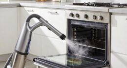 top steam cleaners for ovens