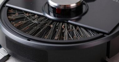 vacuum brushes and hair tangles