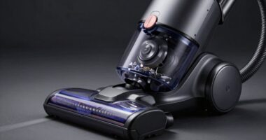 vacuum emits high pitched noise