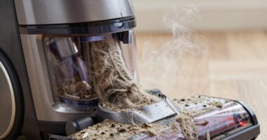 vacuum odor causes and fixes