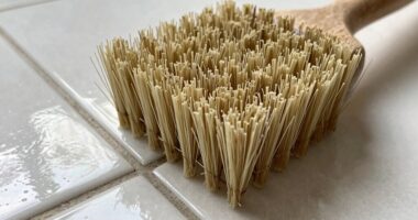 brush head shape varies