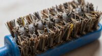 brush rolls deteriorate gradually