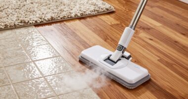 customizable steam for floors