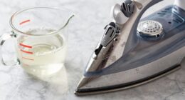 descaling steam appliances effectively