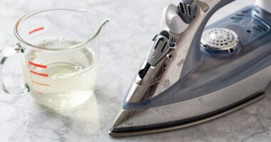 descaling steam appliances effectively