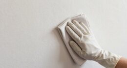 gentle dust removal techniques