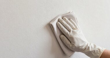 gentle dust removal techniques