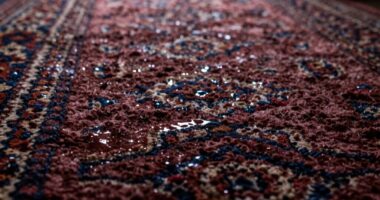 humidity increases carpet weight