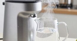 importance of distilled water