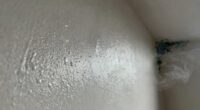 moisture causes persistent odors