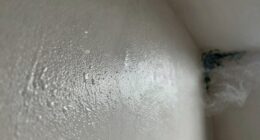 moisture causes persistent odors