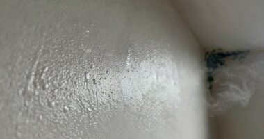 moisture causes persistent odors
