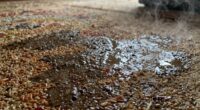 mold and moisture buildup