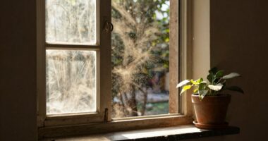 open windows attract dust