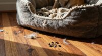pet beds attract dirt
