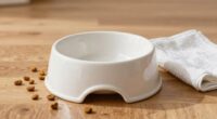 pet bowl cleaning tips