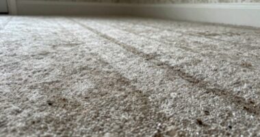 rental carpets require special cleaning