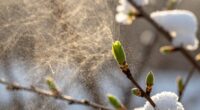seasonal dust texture contrast