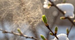 seasonal dust texture contrast