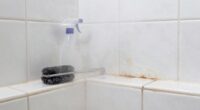 steam removes bathroom grime