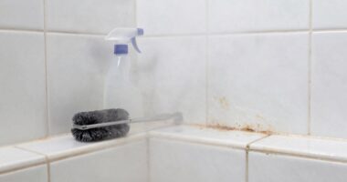 steam removes bathroom grime