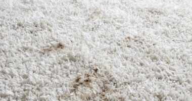 white carpet wick back visibility