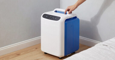 10 Best Dehumidifier for Humid Bedrooms in 2026