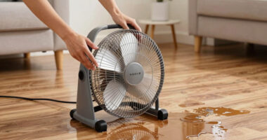 6 Best Air Mover Fan for Water Leaks at Home in 2026