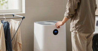 8 Best Dehumidifier for Laundry Rooms in 2026