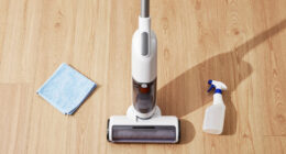 15 Best Cordless Handheld Carpet Cleaners in 2026