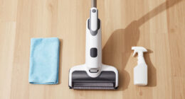 15 Best Portable Handheld Carpet Cleaner in 2026