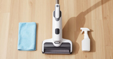 15 Best Portable Handheld Carpet Cleaner in 2026