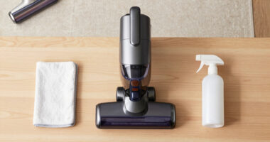 15 Best Portable Handheld Vacuum Cleaner in 2026