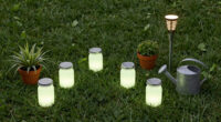 How to Turn Your Yard Into a Refuge for Fireflies