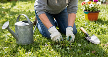 When Are You Too Old To Pull Weeds? Experts Weigh In