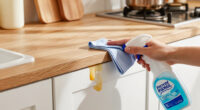 13 Best Kitchen Cabinet Degreasers for Grease and Everyday Grime in 2027